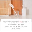 버들 BUDDLE 이미지