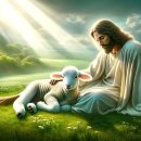 권세목장 이미지