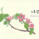 도토리기획 Daum카페