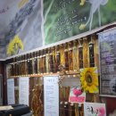 산넘어 그곳 이미지