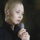 논현양꼬치 이미지