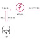 트리짐 트리태닝 이미지