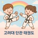 고려대단관태권도 이미지