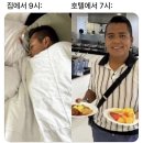 댕댕이이발관 | 베트남 3일차(호이안)🇻🇳