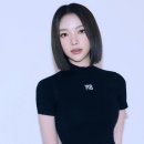 진리서치 이미지