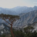 이조전통가구