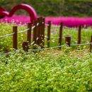 플라워가든 이미지