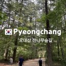 오대산한옥마을 | 평창 오대산 전나무숲길/평창가볼만한곳,주차요금,오대산월정사