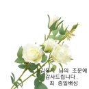 인간의 진정한 크기, “독수리의 날개를 타고”에서, .화해하려는 의지, 이미지