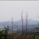 상창 이미지