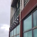 858 | [충남 카페]원산도 카페858 내돈내산후기