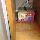 애니크리닝 이미지