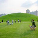 2025 순천 댕댕트레인 이미지