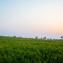 아침농장임실 이미지