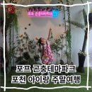 포천두꺼비 | 포천 아이와 가볼만한 곳 포프곤충테마파크 포천 나들이 필수코스 실내체험장