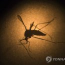 캘리테크 이미지