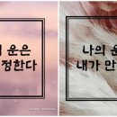 타로로 읽는 하루 이미지