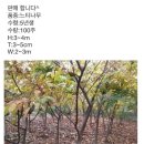 웅이네농장 이미지