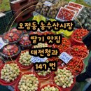 147 | [오정동 농수산시장] 오정동 과일가게 내돈내산 후기 대전청과147번 딸기 맛집