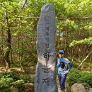 #백두대간 #하늘재 #조령3관문 이미지