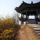 구미정 이미지