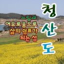 4월 6일(토) 슬로우 시티 완도~!!/아름다운섬 ★♣청산도♣★여행 ♡60,000(승선료포함).조중식(찰밥)28,36석리무진운행 이미지