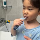 케이(K)치과기공소 | 케이맘칫솔 2단계 키즈칫솔 고불소치약으로 내가 선택한 이유