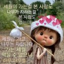 술이부르는노래
