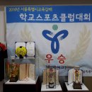 해성 스포츠 클럽 이미지