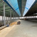 밀키웨이목장 이미지