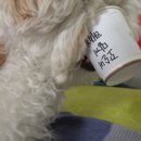 무한뽑기 이미지