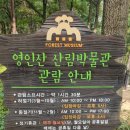 스카이케어스 | 행복 짚라인이 있는 영인산자연휴양림 수목원 산림박물관 스카이어드벤쳐 / 아산온천관광체험단(2/10)
