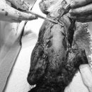 산청동물의료센터 이미지