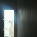 캬바레 십자군 이미지