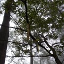 신천초교 이미지