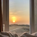 고성리산양목장 | 짱구네 유채꽃밭 / 제주도 유채꽃밭 포토스팟 추천 / 제주 양떼목장 / 애월 여행 / 애월 양떼목장 후기