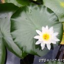 갈맷길6-1구간 이미지