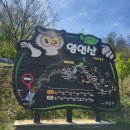 엄지 | 충남 아산여행 갈만한곳 영인산 자연휴양림 다녀온후기