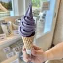 한림목장 | [제주 한림/카페] 우유부단 성이시돌목장｜금오름 근처 카페&amp;목장 / 🐎 구경하며 아이스크림 한 입