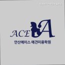 안산에이스애견미용학원