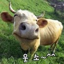 정인공조 이미지