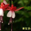 여유로운가 이미지