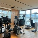 쎄일쎄일타운 | [부산/마린시티] <파크하얏트 부산> 패밀리트윈 투숙후기(헬스장/수영장)