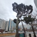 종로-종로-종로-종-250 | [서울 종로구] 광화문에서 사직동까지