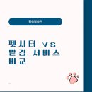 이담펫반려동물호텔위탁센터 | 펫시터 vs 맡김 서비스 비교 — 우리 아이에게 가장 좋은 선택은?
