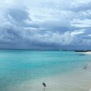 바디채널 대실점 이미지