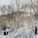 고향목장 이미지