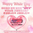 퍼펙트태권도 이미지