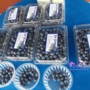 동신농장 이미지