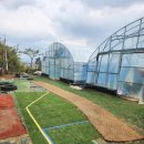 추성농장 | 담양 딸기체험 솔직 후기 아이와함께 데이트